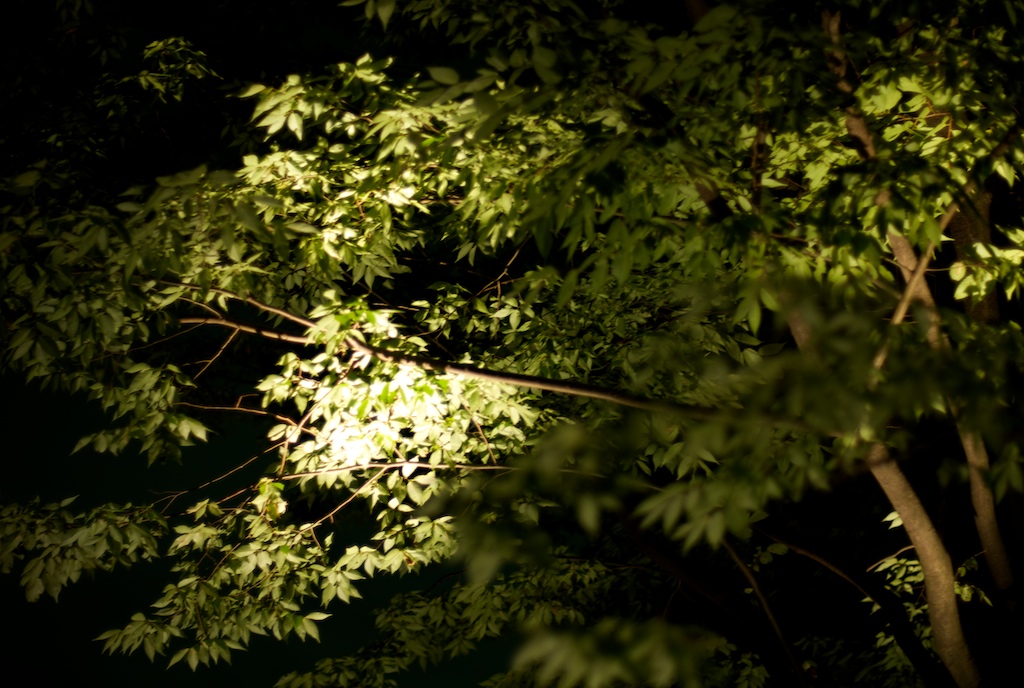b0180506_2251485.jpg