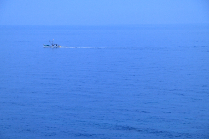 b0180907_0104326.jpg