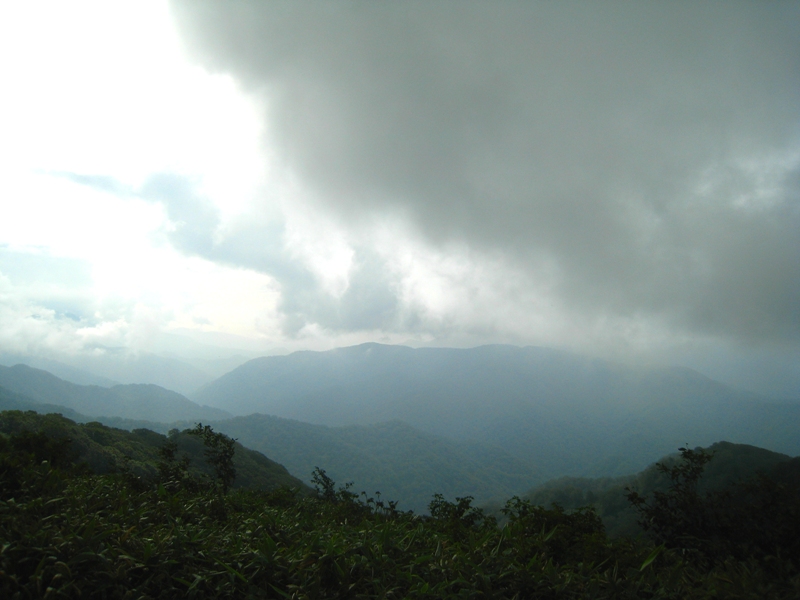 b0180907_01659100.jpg