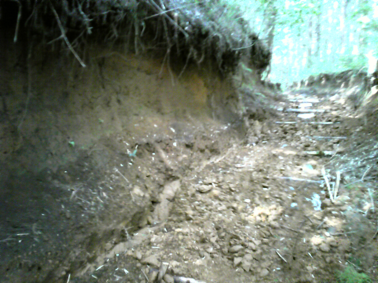 e0015108_22193992.jpg