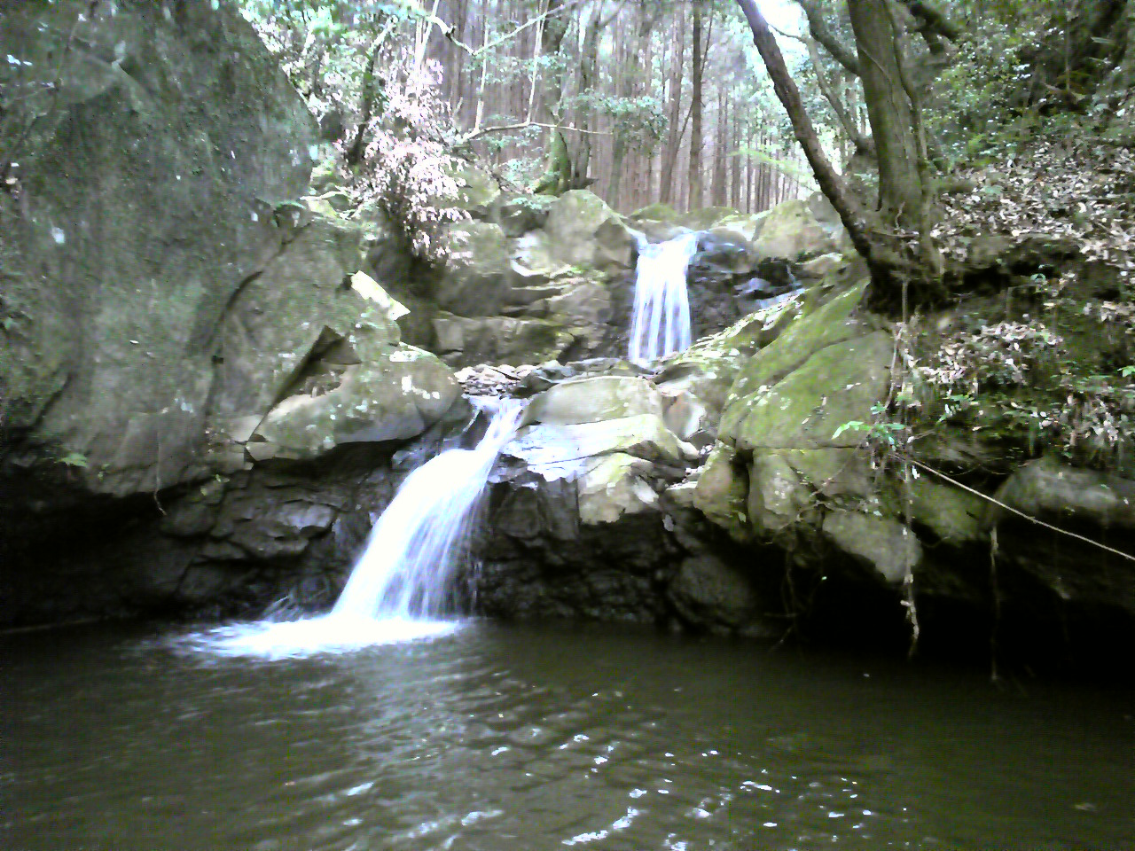 e0015108_22261621.jpg