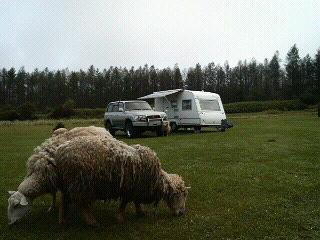 f0127408_2394343.jpg