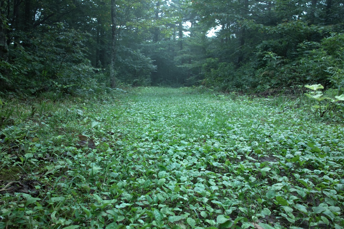 b0137311_0313825.jpg