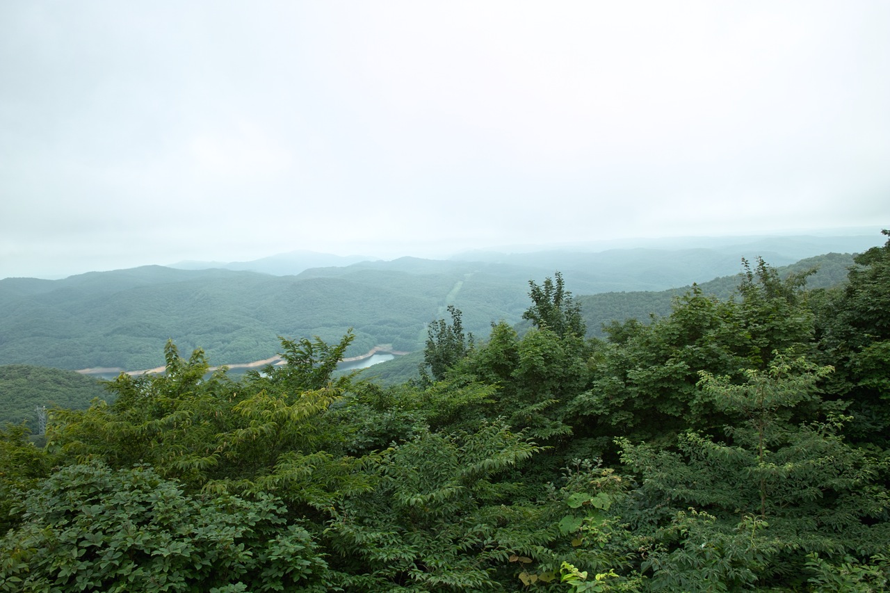 b0137311_034735.jpg
