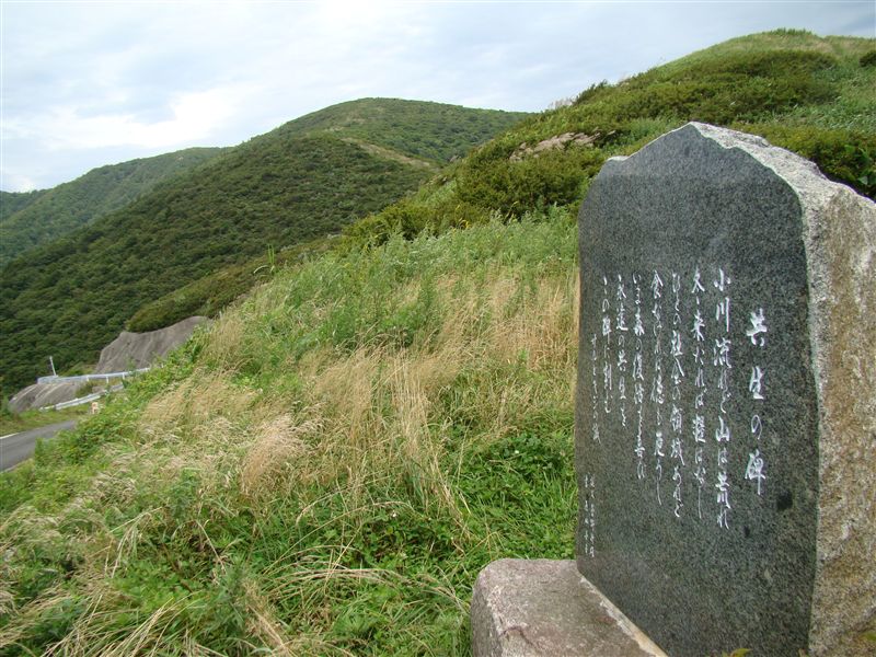 a0127015_20405022.jpg