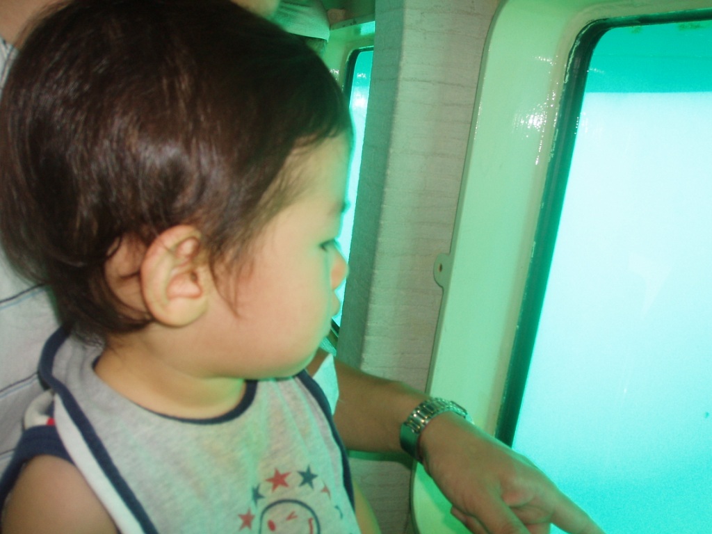 d0119915_057610.jpg