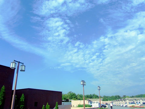 e0083517_1255355.jpg