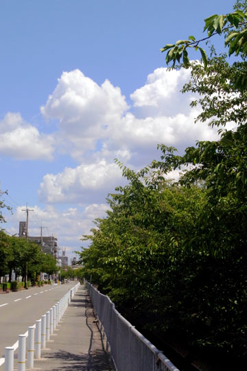 e0083517_2246764.jpg