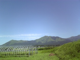 f0031420_19434136.jpg
