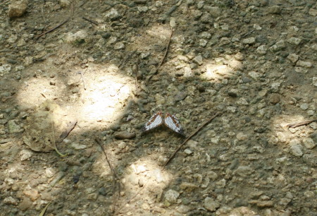 f0097620_07948.jpg