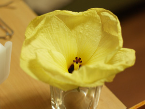 d0006821_22352999.jpg