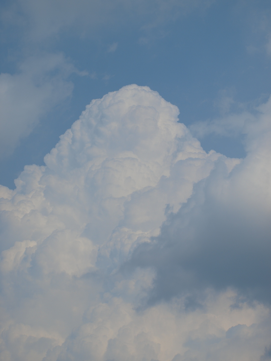 b0137723_1761647.jpg