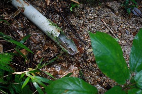 b0056924_12582941.jpg
