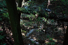 b0056924_12595983.jpg