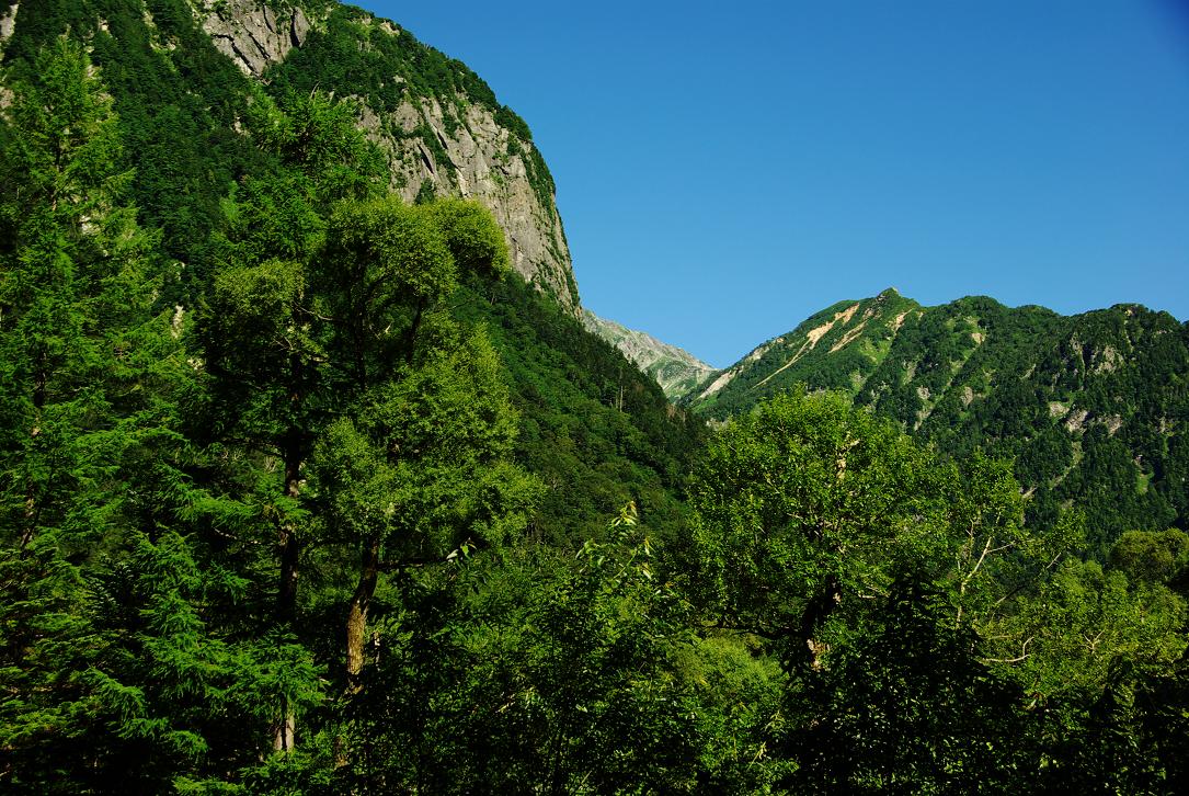 b0062024_8454624.jpg