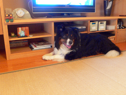 f0060424_23244121.jpg