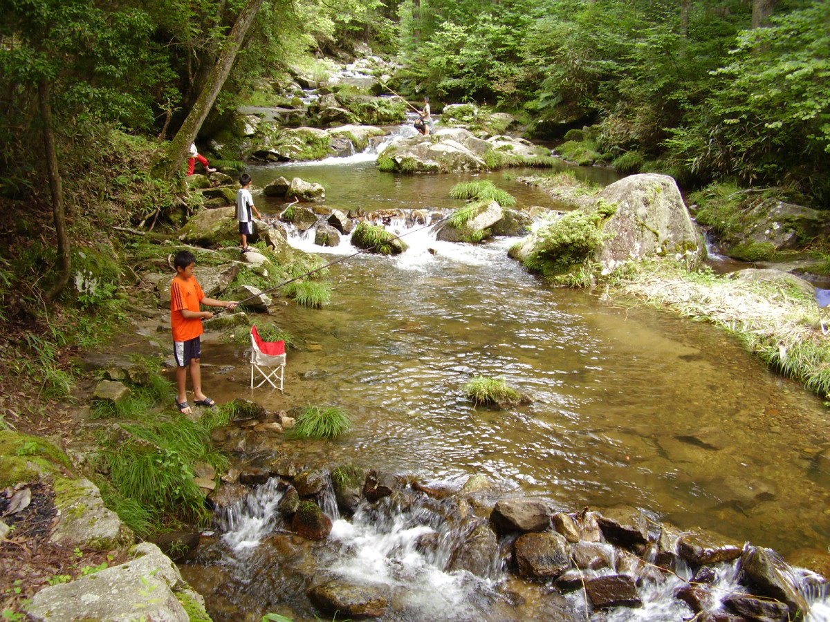 e0181028_1416625.jpg