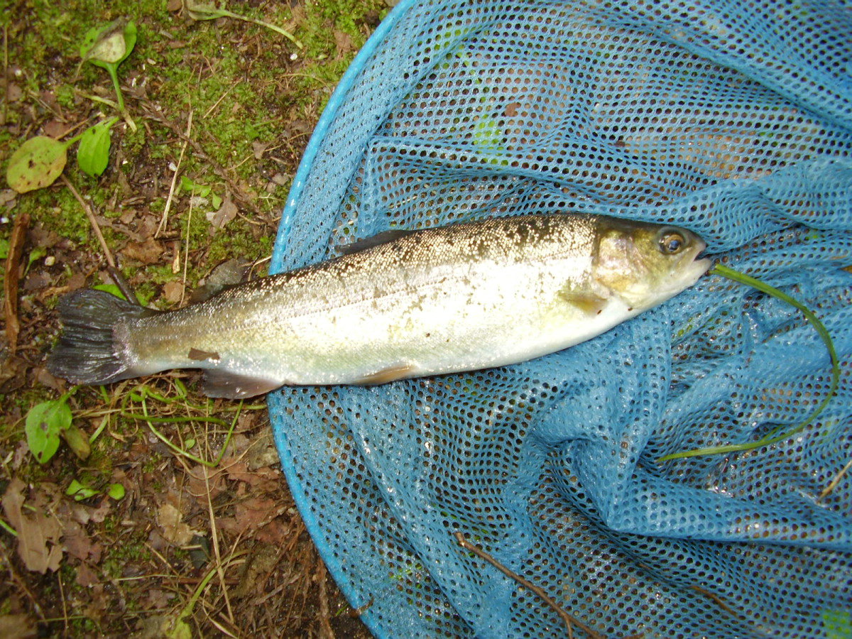 e0181028_14203149.jpg