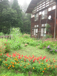 d0040729_1234725.jpg