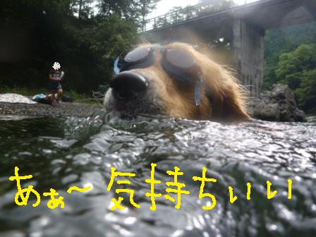 f0176830_1612465.jpg
