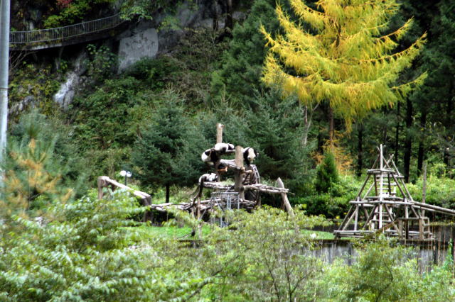 d0091834_14551352.jpg