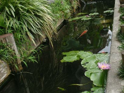 d0093936_18355449.jpg
