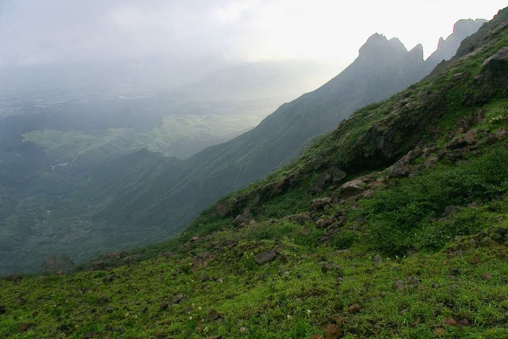 d0136836_1010242.jpg
