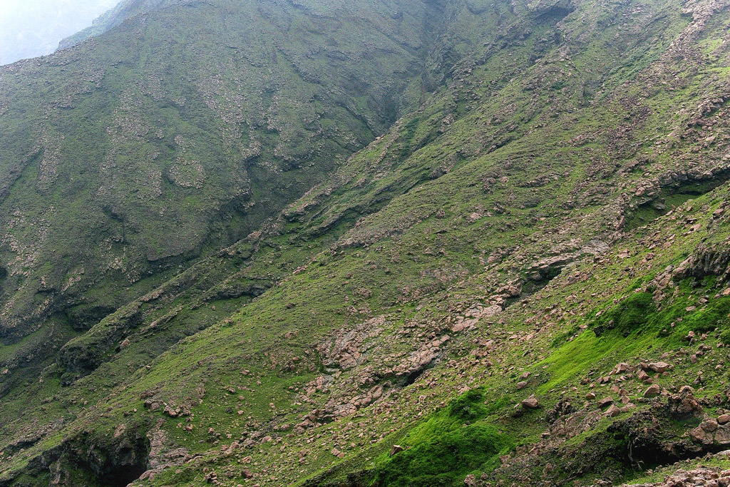 d0136836_10312250.jpg
