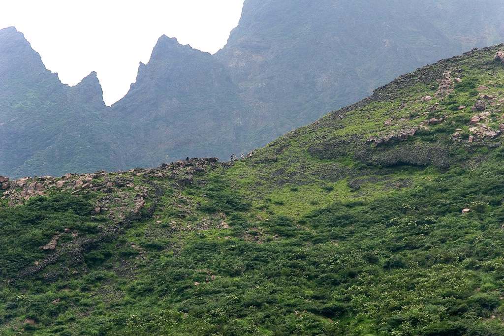d0136836_10333176.jpg