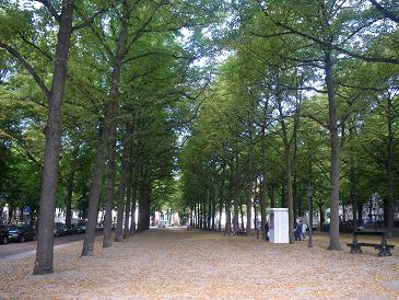 c0194240_1726164.jpg