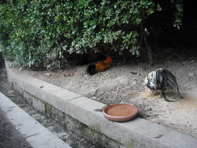 c0194042_21355047.jpg