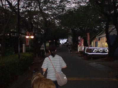 e0023643_21303835.jpg
