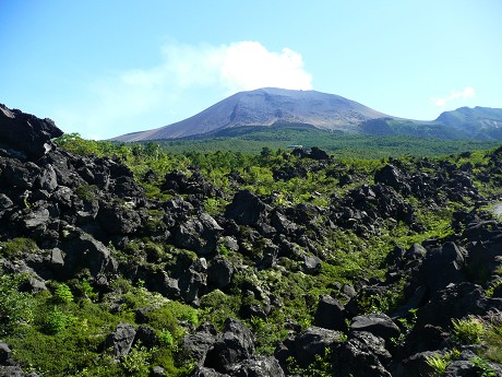 c0057946_19125423.jpg