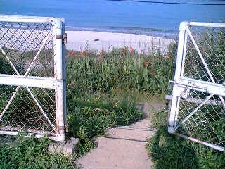 e0168250_1719722.jpg
