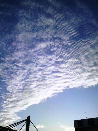 c0043751_2115750.jpg