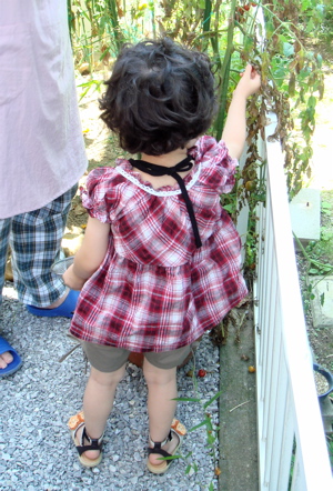 c0003752_21552871.jpg
