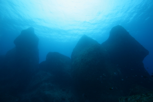 d0021952_23194953.jpg