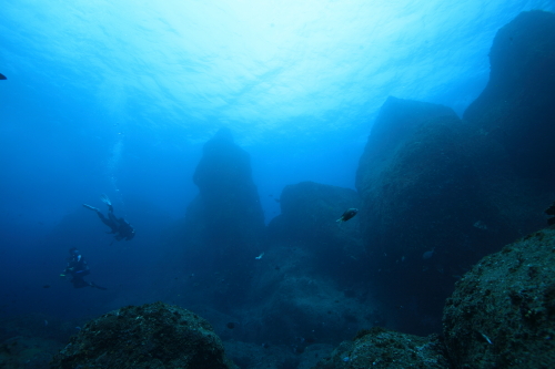 d0021952_2381943.jpg