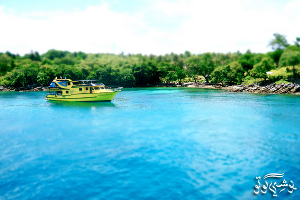 f0013652_2093581.jpg