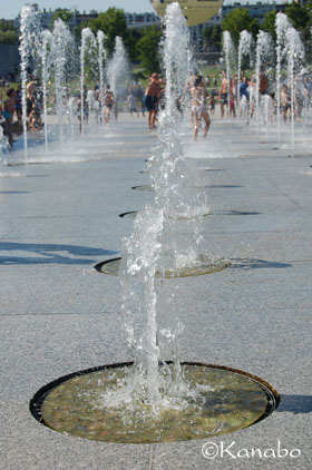 f0099556_21425657.jpg