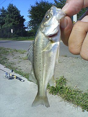 a0096557_17294013.jpg