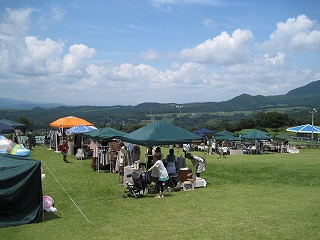 d0149257_17281561.jpg