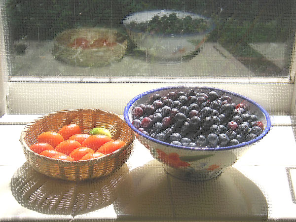 b0053660_1515246.jpg