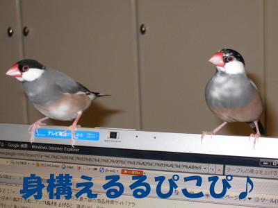 b0158061_20591079.jpg