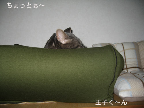 e0057361_1533315.jpg