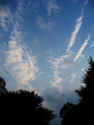 b0180764_210386.jpg