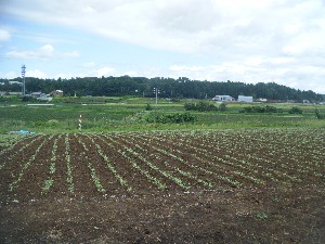 b0079965_12234036.jpg