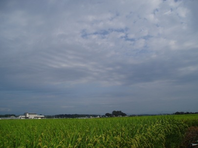 b0183566_11304487.jpg
