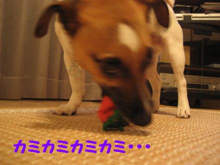 f0100871_21551796.jpg