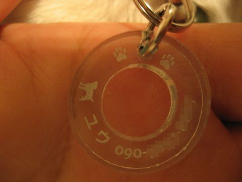 f0100871_22115282.jpg